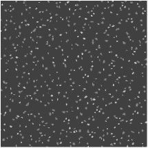 Anti UV 2x2' Rubber Floor Tiles Good Temperature Resistance